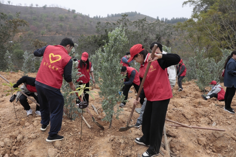 �������ǲ���(�й���)�ٷ���վ