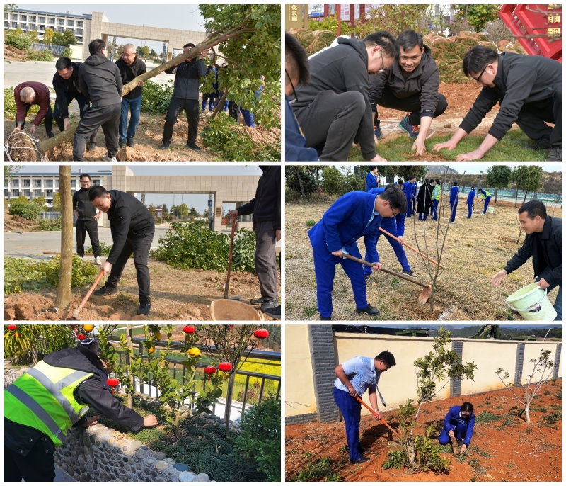 �������ǲ���(�й���)�ٷ���վ